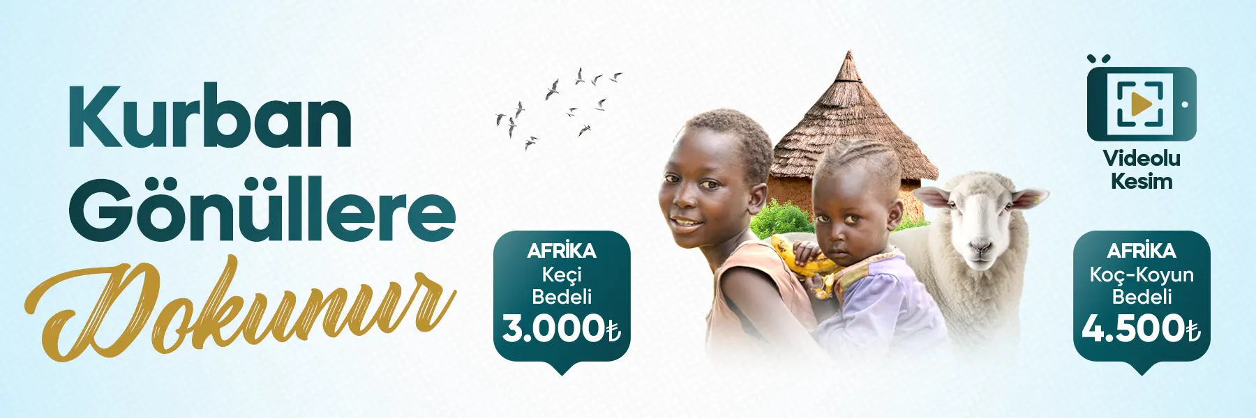 kurban 1800